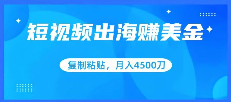 短视频出海赚美金，复制粘贴批量操作，小白轻松掌握，月入4500美刀【揭秘】-氚客吧