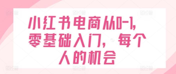 小红书电商从0-1，零基础入门，每个人的机会-氚客吧