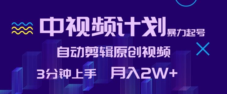 中视频计划暴力起号，自动剪辑原创视频，3分钟上手，月入2W+【揭秘】-氚客吧