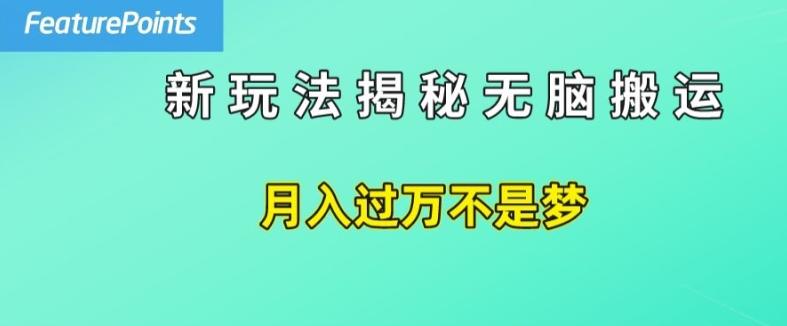 简单操作，每天50美元收入，搬运就是赚钱的秘诀【揭秘】-氚客吧