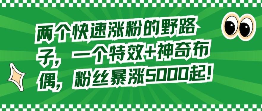 两个快速涨粉的野路子，一个特效+神奇布偶，粉丝暴涨5000起【揭秘】-氚客吧