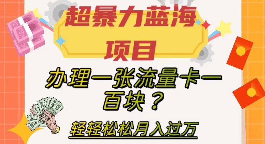 超暴力蓝海项目，办理一张流量卡一百块？轻轻松松月入过万，保姆级教程【揭秘】-氚客吧