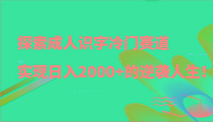 探索成人识字冷门赛道，实现日入2000+的逆袭人生！-氚客吧
