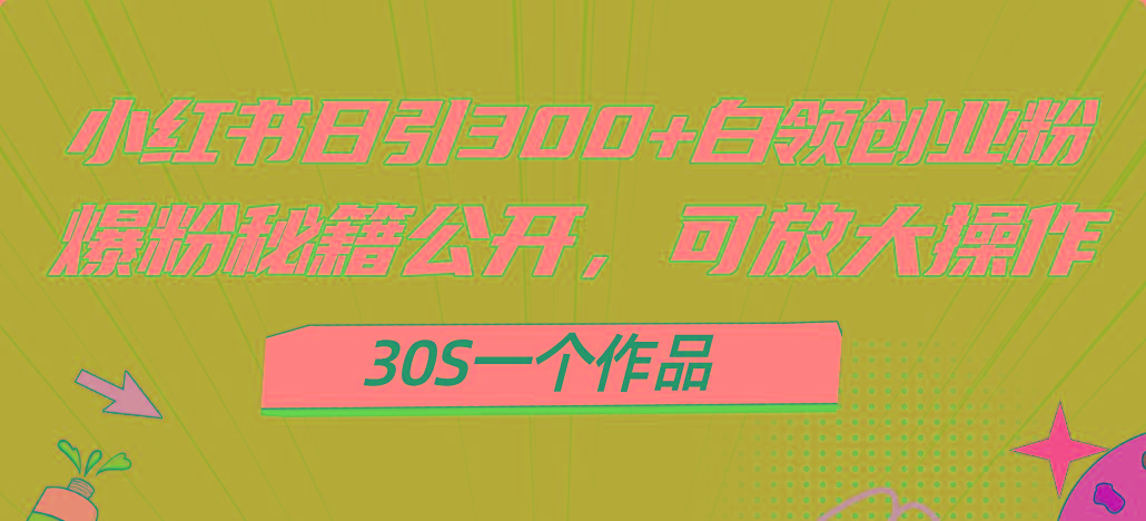 小红书日引300+高质白领创业粉，可放大操作，爆粉秘籍！30s一个作品-氚客吧