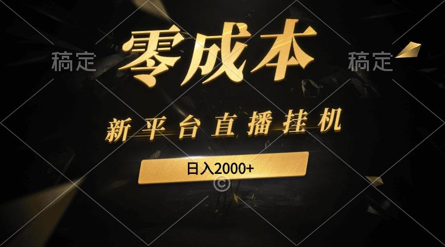 (9841期)新平台直播挂机最新玩法，0成本，不违规，日入2000+-氚客吧