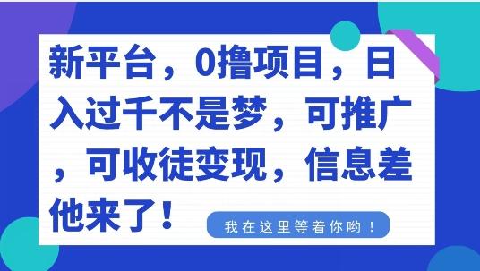 不要再花冤枉钱了，0撸项目，每天坚持，稳定1000+-氚客吧