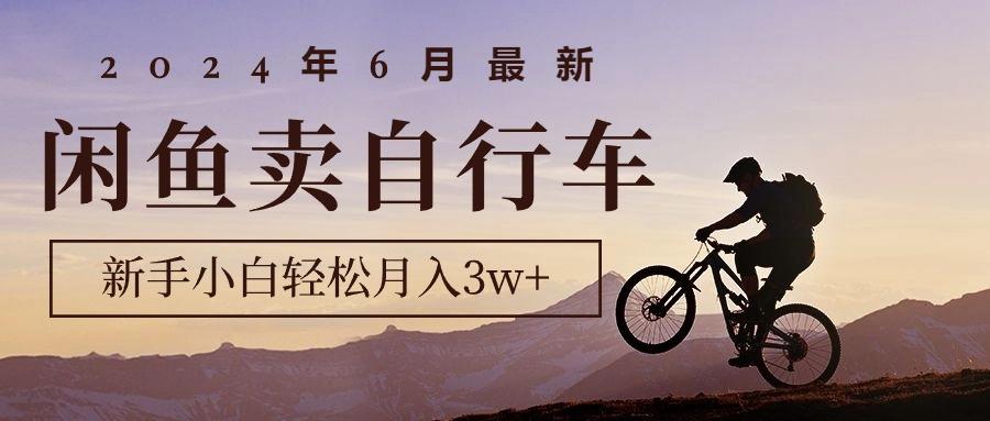 2024年6月最新闲鱼卖自行车，新手小白轻松月入3w+项目-氚客吧