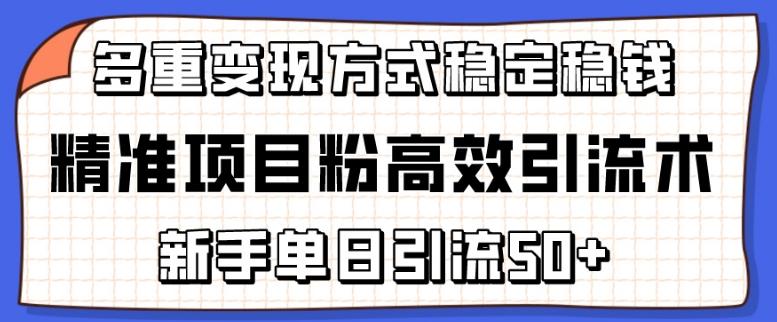精准项目粉高效引流术，新手单日引流50+，多重变现方式稳定赚钱【揭秘】-氚客吧