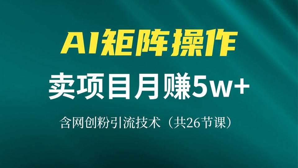 网创IP打造课，借助AI卖项目月赚5万+，含引流技术(共26节课-氚客吧