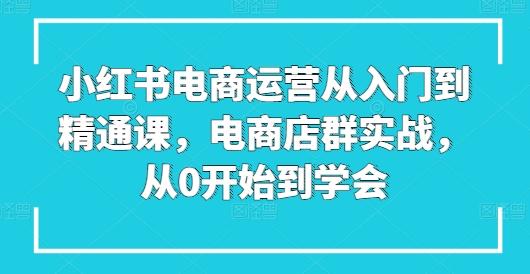 小红书电商运营从入门到精通课，电商店群实战，从0开始到学会-氚客吧