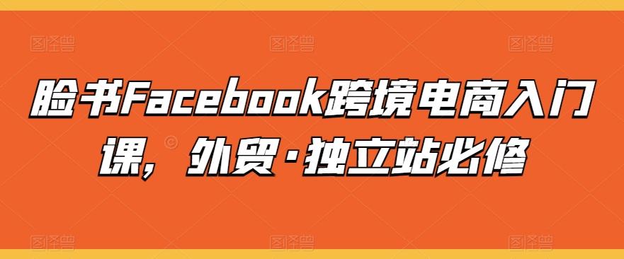 脸书Facebook跨境电商入门课，外贸·独立站必修-氚客吧