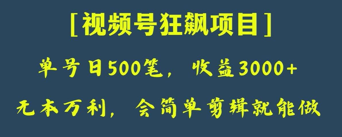 日收款500笔，纯利润3000+，视频号狂飙项目，会简单剪辑就能做【揭秘】-氚客吧