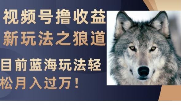 视频号撸收益新玩法之狼道，目前蓝海玩法，轻松月入过万【揭秘】-氚客吧