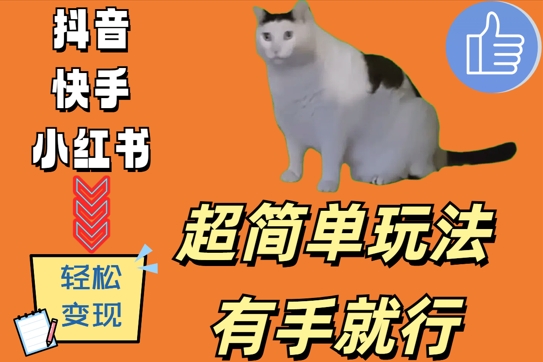 超简单玩法，有手就行，靠猫咪视频日入500+【揭秘】-氚客吧