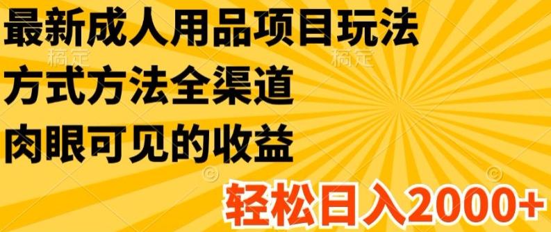 最新成人用品项目玩法，方式方法全渠道，轻松日入2K+【揭秘】-氚客吧