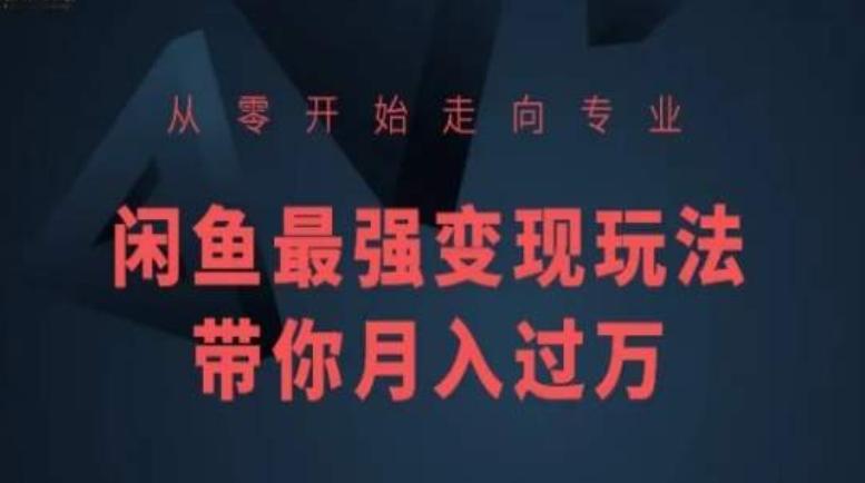 从零开始走向专业，闲鱼最强变现玩法带你月入过万-氚客吧