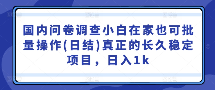 国内问卷调查小白在家也可批量操作(日结)真正的长久稳定项目，日入1k【揭秘】-氚客吧