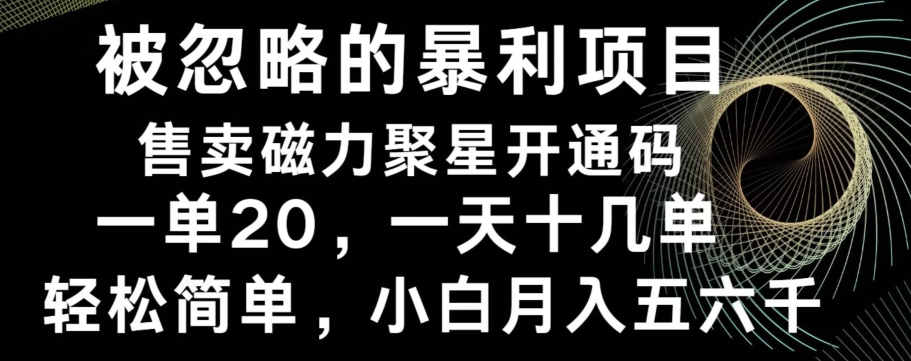 被忽略的暴利项目！售卖磁力聚星开通码，一单20，一天十几单，轻松月入五六千-氚客吧