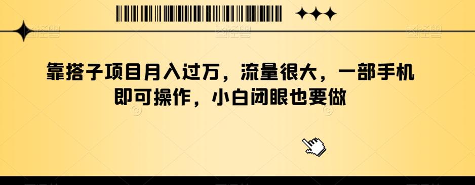 靠搭子项目月入过万，流量很大，一部手机即可操作，小白闭眼也要做-氚客吧