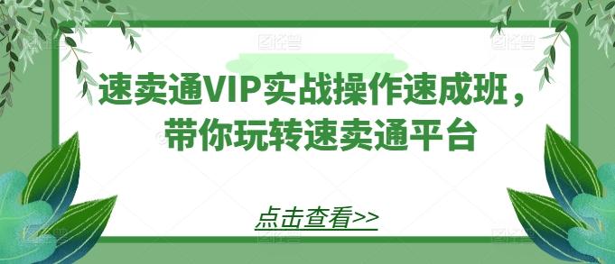 速卖通VIP实战操作速成班，带你玩转速卖通平台-氚客吧