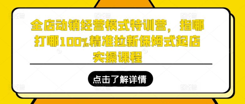 全店动销经营模式特训营，指哪打哪100%精准拉新保姆式起店实操课程-氚客吧