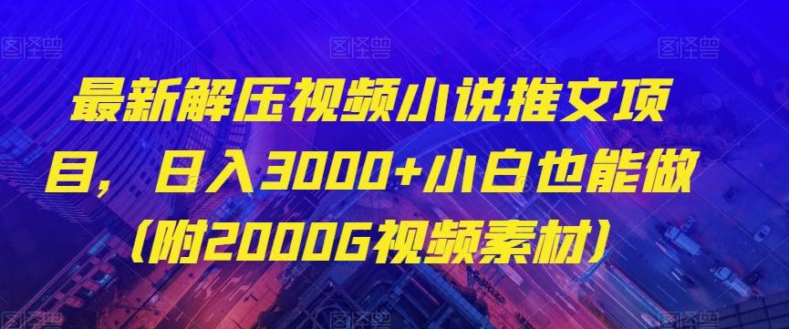 最新解压视频小说推文项目，日入3000+小白也能做（附2000G视频素材）【揭秘】-氚客吧