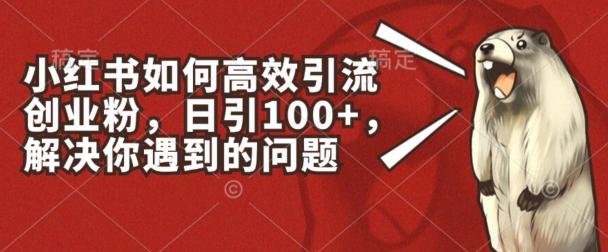 小红书如何高效引流创业粉，日引100+，解决你遇到的问题【揭秘】-氚客吧