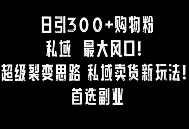 日引300+购物粉，超级裂变思路，私域卖货新玩法，小红书首选副业【揭秘】-氚客吧