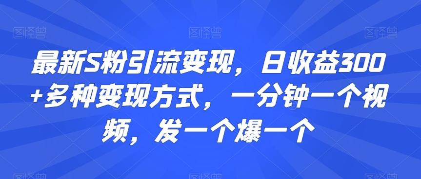 最新S粉引流变现，日收益300+多种变现方式，一分钟一个视频，发一个爆一个【揭秘】-氚客吧