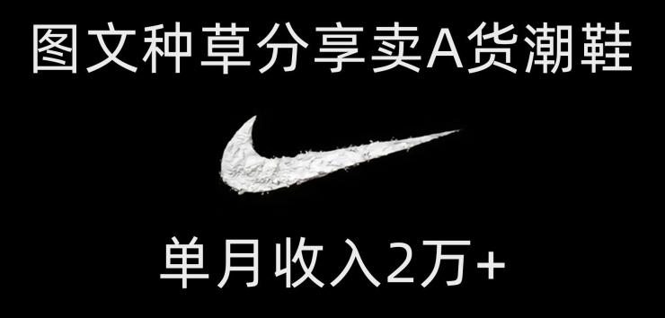靠图文种草分享卖A货潮鞋，每天一小时，单月收入2万+【揭秘】-氚客吧