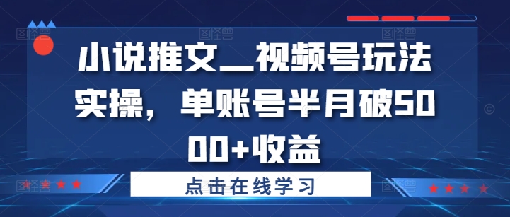 小说推文—视频号玩法实操，单账号半月破5000+收益-氚客吧