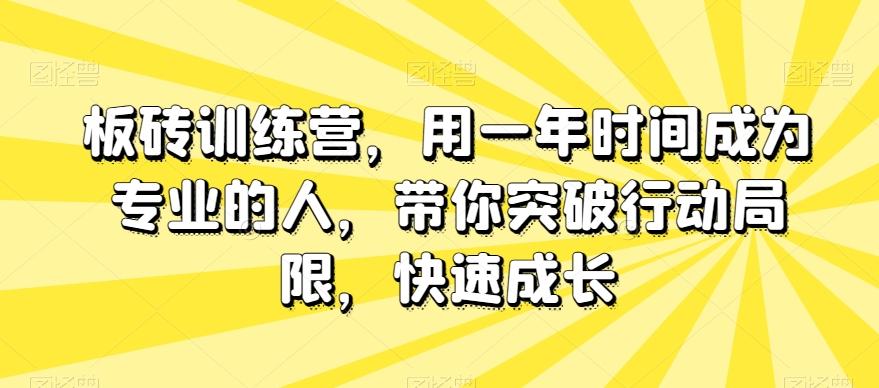 板砖训练营，用一年时间成为专业的人，带你突破行动局限，快速成长-氚客吧