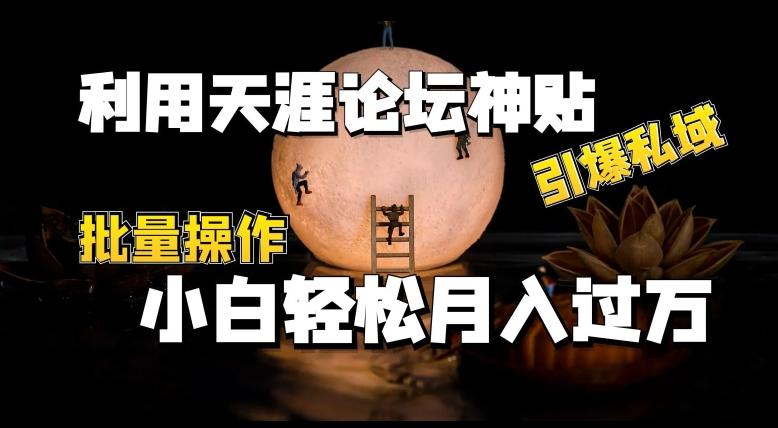 利用天涯论坛神贴，引爆私域，批量操作，小白轻松月入过w【揭秘】-氚客吧