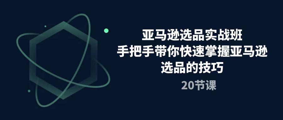 亚马逊选品实战班，手把手带你快速掌握亚马逊选品的技巧(20节课-氚客吧