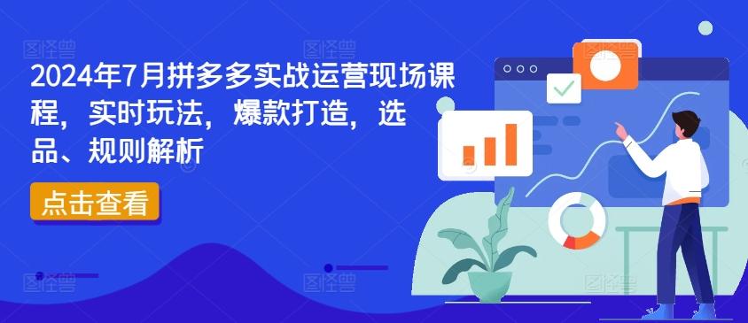 2024年7月拼多多实战运营现场课程，实时玩法，爆款打造，选品、规则解析-氚客吧