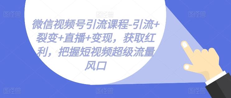 微信视频号引流课程-引流+裂变+直播+变现，获取红利，把握短视频超级流量风口-氚客吧
