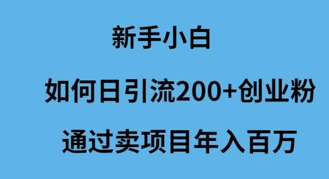 (9668期)新手小白如何日引流200+创业粉通过卖项目年入百万-氚客吧