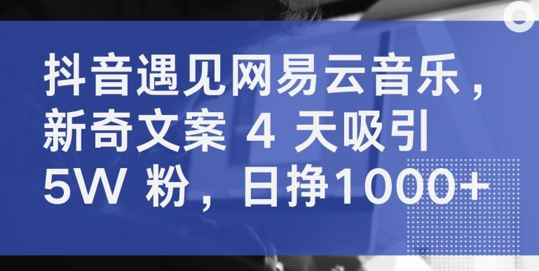 抖音遇见网易云音乐，新奇文案 4 天吸引 5W 粉，日挣1000+【揭秘】-氚客吧