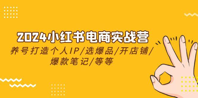 2024小红书电商实战营，养号打造IP/选爆品/开店铺/爆款笔记/等等(24节)-氚客吧