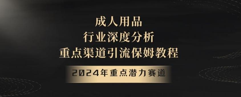 2024年重点潜力赛道，成人用品行业深度分析，重点渠道引流保姆教程【揭秘】-氚客吧