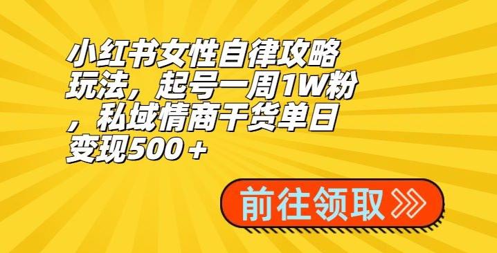 小红书女性自律攻略玩法，起号一周1W粉，私域情商干货单日变现500＋-氚客吧