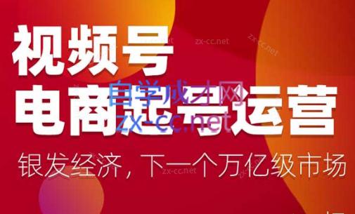 陈大黑牛·视频号电商起号运营课(更新到24年5月)-氚客吧