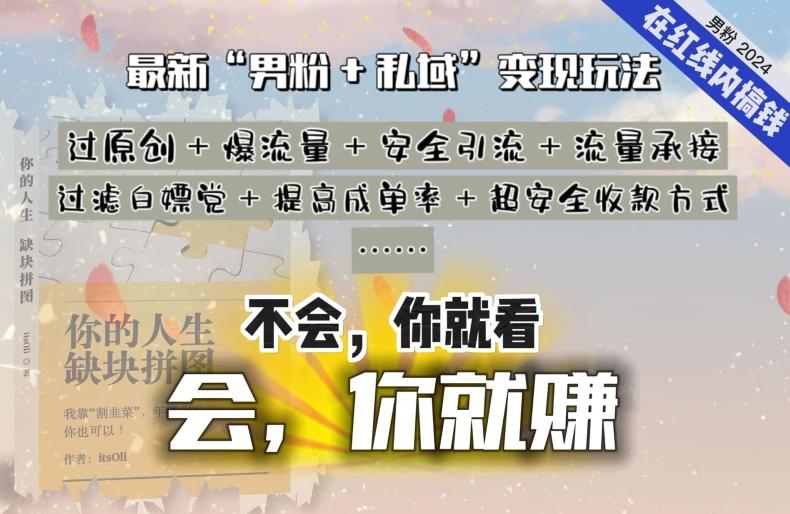 2024，“男粉+私域”还是最耐造、最赚、最轻松、最愉快的变现方式【揭秘】-氚客吧