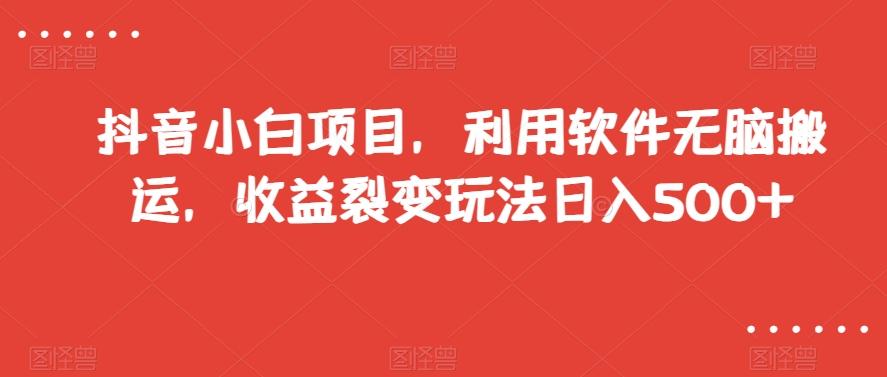 抖音小白项目，利用软件无脑搬运，收益裂变玩法日入500+【揭秘】-氚客吧