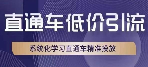 直通车低价引流课，系统化学习直通车精准投放-氚客吧