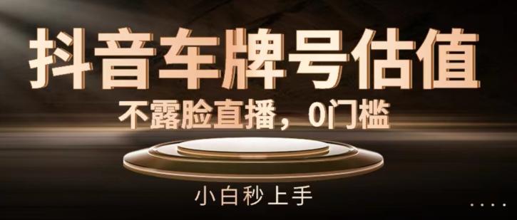 抖音车牌号估值，不露脸直播，0门槛，小白秒上手【揭秘】-氚客吧