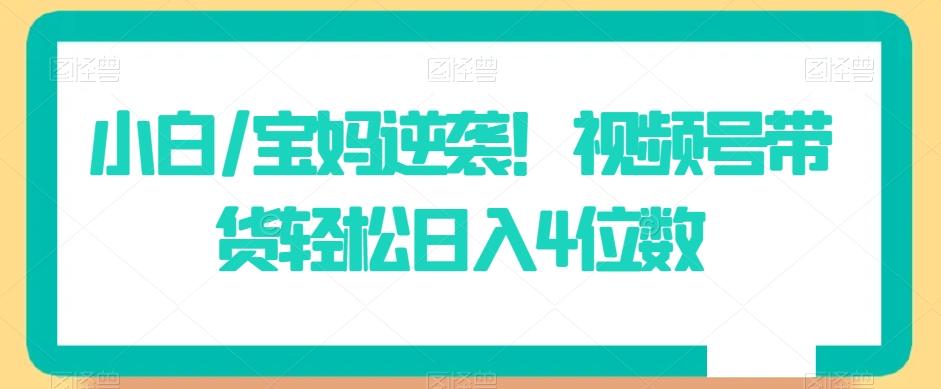 小白/宝妈逆袭！视频号带货轻松日入4位数【揭秘】-氚客吧