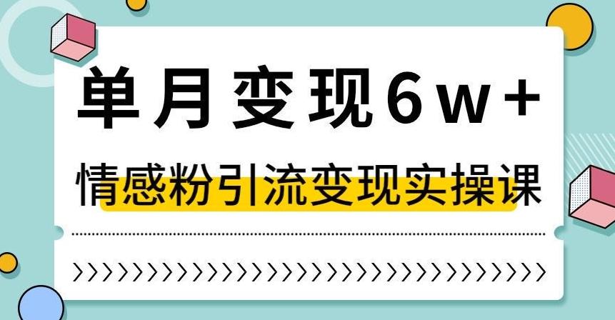 单月变现6W+，抖音情感粉引流变现实操课，小白可做，轻松上手，独家赛道【揭秘】-氚客吧