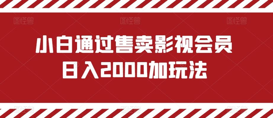 小白通过售卖影视会员日入2000加玩法-氚客吧