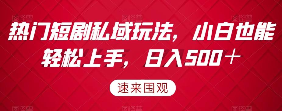 热门短剧私域玩法，小白也能轻松上手，日入500＋-氚客吧